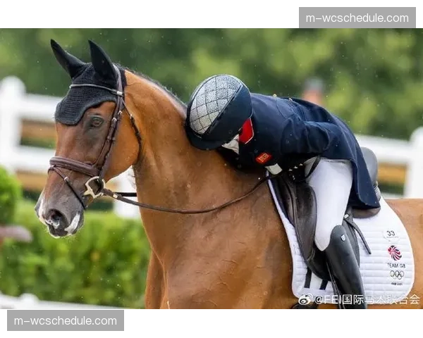 国际马术联合会公布巴黎奥运会团体赛资格最终归属